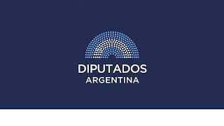 EXPRESIONES EN MINORÍA 12 de noviembre de 2024  RÉGIMEN LEGAL DE LOS DNU  Diputados Argentina [upl. by Ailongam]