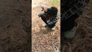 Nikon d5600 camera 70300lens photography 📸youtube shortsshortsfeed india shortsyoutubeviral [upl. by Hauhsoj]