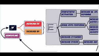 PATHOPHYSIOLOGY OF HEART FAILURE  COMPENSATORY MECHANISMS  RAAS  SNS  CYTOKINES [upl. by Asher584]