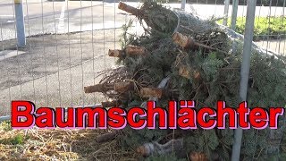 Baumschlächter [upl. by Ahsekar]