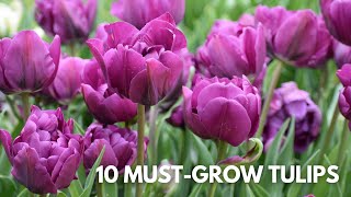 10 MustGrow Tulips [upl. by Yoreel]