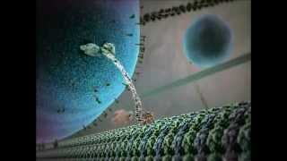 Kinesin protein walking on microtubule [upl. by Ellenoj519]