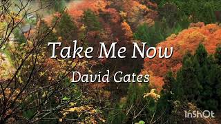 Take Me Now  David Gates Lyrics [upl. by Benyamin326]