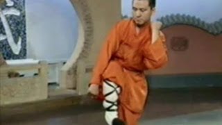 Shaolin Kung Fu 18 fight techniques [upl. by Jun]