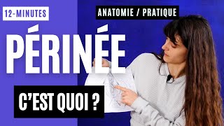 Cest quoi le PÉRINÉE  Anatomie et pratique  12min [upl. by Eveiveneg]