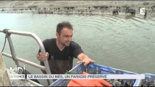 Suivez le Guide  le Bassin du Mès un paradis préservé [upl. by Meredith398]