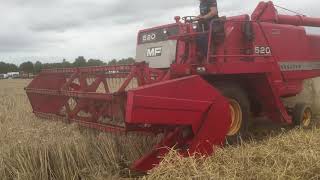 Massey Ferguson 520 Combine Harvester [upl. by Retep60]