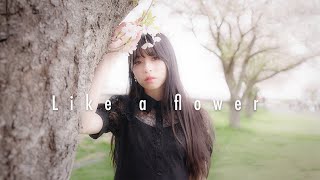 Short Film  Like a flower  with Leica SL2S Video Assist5 BRAW [upl. by Ruth]