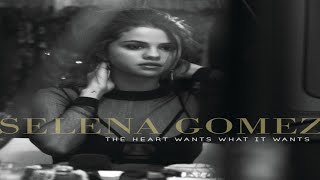 Selena Gomez The Heart Wants What It Wants Slowed Reverb 417Hz amp Moderate Bass Boosted [upl. by Iduj]