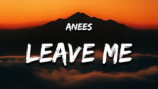 anees  leave me Lyrics quoti dont like the person that i am when i hurt youquot [upl. by Alyehs539]