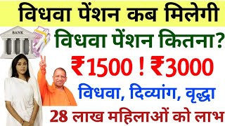 up mein vidhwa pension kitna milta hai 28 lakh pensioners  up vidhwa pension kab aayegi 2024 [upl. by Peregrine191]