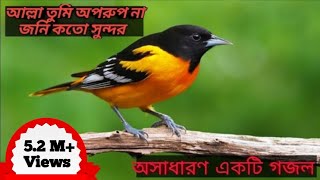 আল্লা তুমি অপরুপ না জনি কতো সুন্দর  Allah tumi oporup  islamic gojol  By AS Islamic Media [upl. by Howell]