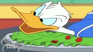 House of Mouse Episode 31  Donald And The Aracuan Bird [upl. by Honoria]