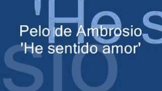 Pelo de Ambrosio He sentido amor [upl. by Beret]