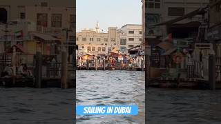 Abra Boat ride Sailing in My Dubai creek boatriding sailing shorts dubailife abraboatride [upl. by Maidie]