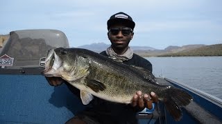 How To Fish BIG Swimbaits For BIG Bass [upl. by Oregolac]