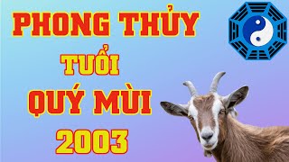 🔴 Phong Thủy Tuổi Quý Mùi 2003 [upl. by Errol]