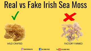 Real vs Fake Irish Sea Moss [upl. by Airbmac]