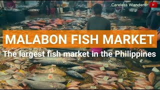 MALABON FISH MARKET  Largest fish market in the Philippines [upl. by Leanna]