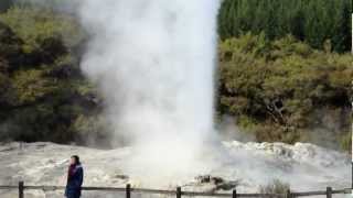 Lady Knox Geyser  WaiOTapu Geothermal Wonderland  New Zealand [upl. by Lesh]