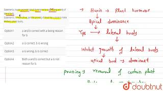 Statement a Auxins promote apical dominance by suppressing activity of lateral buds Statement [upl. by Anselmi]