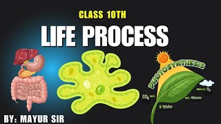 Life Processes class 10 Science Biology  CBSE NCERT Part01 [upl. by Atsyrhc]