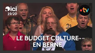 Le budget de la culture estil sacrifié par le département du Nord [upl. by Ellohcin]