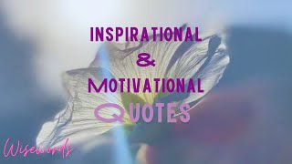 Awesome Quotes for Every Situation  Motivational amp Inspirational Quotes  Wise Words [upl. by Eidderf534]