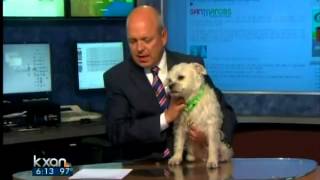 Kaxan onair about West Nile Virus and pets [upl. by Marie-Ann]