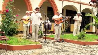 SON ANTILLANO  AMOROSA GUAJIRA  MÚSICA TRADICIONAL CUBANA [upl. by Galer]