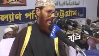 Bangla Tafseer Mahfil  Delwar Hossain Sayeedi at Chittagong 2005 Day 2 Full [upl. by Nagram494]