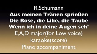 Dichterliebe Op48 No2No4 RSchumann EAD majorfor Low voice Piano accompanimentkaraoke [upl. by Inanak]