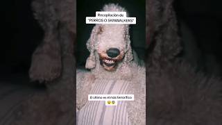 Grabé un Skinwalker perro abandonado en mi casa y tengo miedo animales [upl. by Aviv]