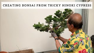 Creating Bonsai from A Tricky Hinoki Cypress [upl. by Sellig690]