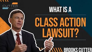 What Is a Class Action Lawsuit [upl. by Shelburne]