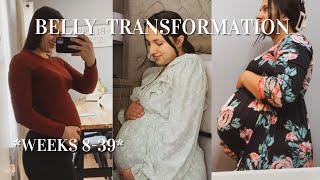 PREGNANCY BELLY GROWTH  week by week transformation baby 2 [upl. by Heida]