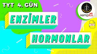 4 Enzimler ve Hormonlar Konu Anlatımı  9 Sınıf Biyoloji  YKS 2023  TYT Biyoloji Kampı 4 Gün [upl. by Hedwiga]