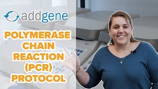 Polymerase Chain Reaction PCR Protocol [upl. by Gildea]