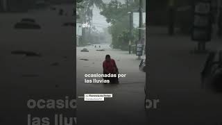 Hombre rescata a perrito de la inundación por huracán John nmas acapulco shorts [upl. by Tiffani800]