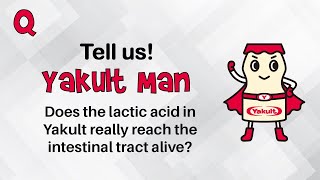 Does the lactic acid in Yakult really reach the intestinal tract alive [upl. by Nyrhtak471]