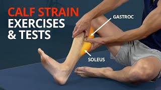 Calf Strain Rehab Exercises and Tests Gastrocnemius or Soleus [upl. by Bunker652]