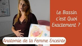 Le Bassin cest Quoi  Anatomie de la Femme Enceinte [upl. by Story]