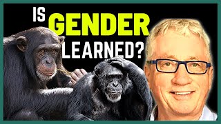 What Primatology Says About Gender Differences  Dr Frans de Waal [upl. by Compton323]