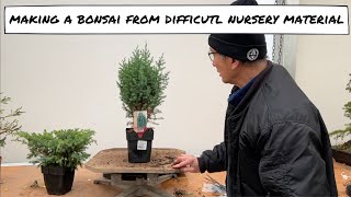 Making Bonsai from Difficult Nursery Material [upl. by Sharai701]