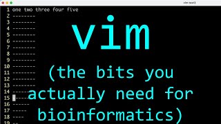 Why I use vim for bioinformatics [upl. by Janel]