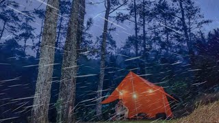 AMAZING‼️HEAVY RAIN CAMPING 🏕RELAXING IN A WARM TENT WITH THE SOUND OF RAIN ON THE TENT ROOF [upl. by Connett]