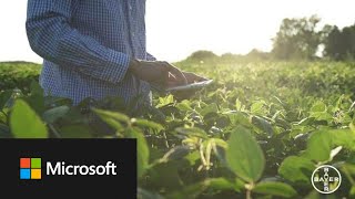 Bayer leverages Azure Data Manager for Agriculture LLM APIs [upl. by Neelac]