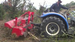 Model eskidirdal parçalamaağaç ve orman parçalama makinası forestry mulcher 905398639517 [upl. by Gimble394]