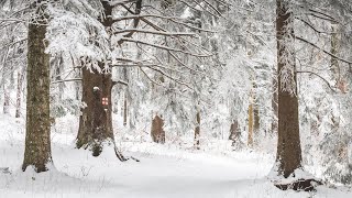 COMPOSITIES in de SNEEUW  LANDSCHAPSFOTOGRAFIE in ROEMENIE [upl. by Gebler79]