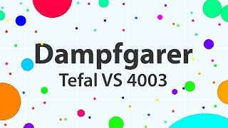 Dampfgarer Tefal VS 4003 Test 112016 [upl. by Fauman]